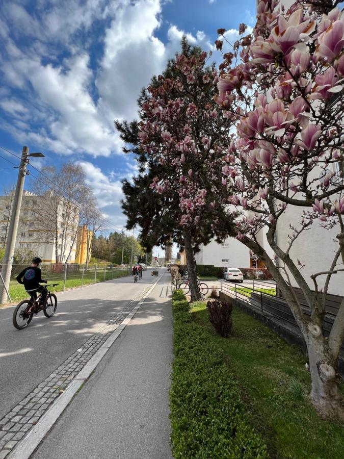 Friendly Space Apartment Graz Exterior photo